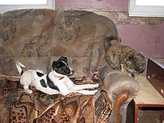 1280 X 960 260.2 Kb 768 X 1024 177.5 Kb 768 X 1024 140.1 Kb      