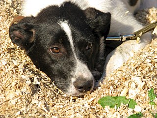 1280 X 960 334.1 Kb 1280 X 960 191.6 Kb      