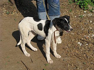 1280 X 960 336.6 Kb 1280 X 960 334.1 Kb 1280 X 960 191.6 Kb      