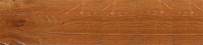 550 X 124   9.9 Kb -  