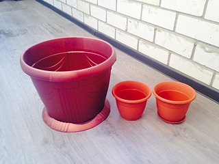 1920 X 1440 470.9 Kb 1536 X 2048 822.8 Kb ......