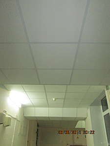 480 X 640  65.8 Kb ''