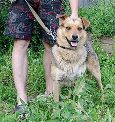 572 X 604 123.5 Kb  ,  