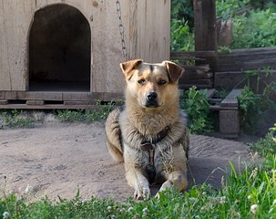 604 X 478 70.9 Kb  ,  