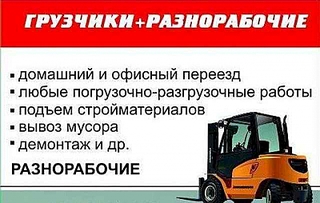800 X 508 246.2 Kb  ,     ,    