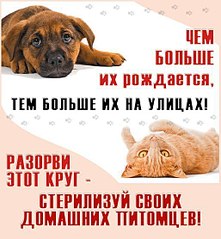 513 X 555  61.8 Kb    ()