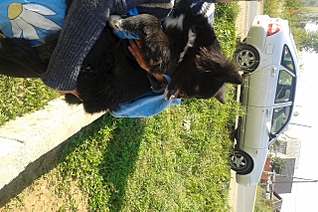 1280 X 849 596.2 Kb 962 X 960 506.4 Kb     