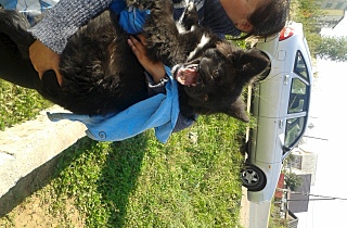 1280 X 840 541.1 Kb 1280 X 849 596.2 Kb 962 X 960 506.4 Kb     