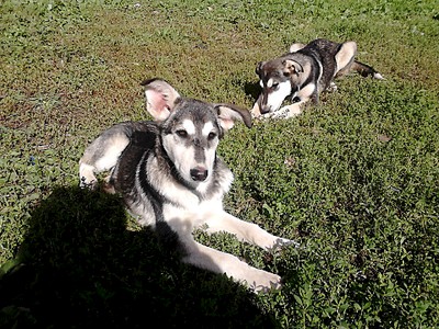 1920 X 1440 547.0 Kb    ?