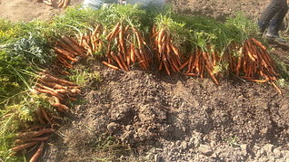 1920 X 1077 863.8 Kb 