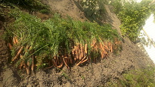 1920 X 1077 790.5 Kb 1920 X 1077 723.1 Kb 1920 X 1077 863.8 Kb 