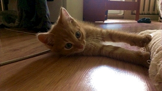 1920 X 1082 147.9 Kb     !