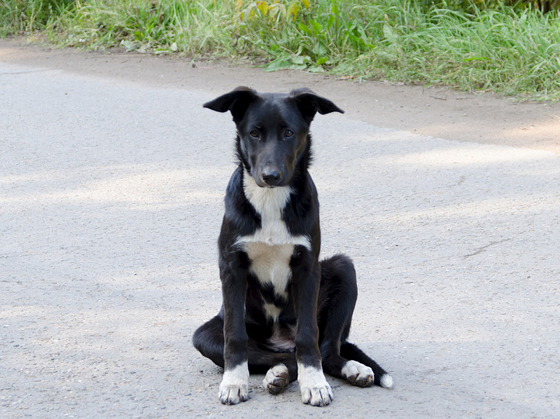 1920 X 1436 731.9 Kb 1920 X 1300 380.5 Kb  -     .