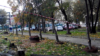1920 X 1080 753.9 Kb 1920 X 3413 960.9 Kb 1.       '   ,   !