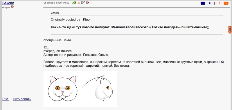 1885 X 899 106.4 Kb Котятки мальчик и девочка в дар