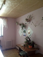 180 x 240 Чистая продажа. Срочно.