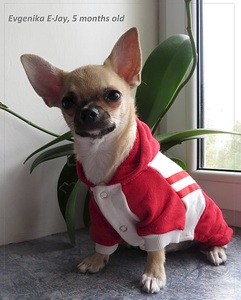 1920 X 2386 994.2 Kb   E-Jay