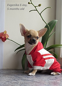 1880 X 2577 311.9 Kb 1920 X 2386 994.2 Kb   E-Jay