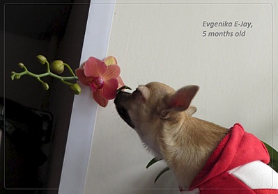 1669 X 1165 374.5 Kb 1880 X 2577 311.9 Kb 1920 X 2386 994.2 Kb   E-Jay