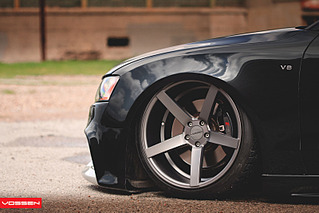 800 X 533 106.2 Kb 632 X 621  57.9 Kb   Vossen