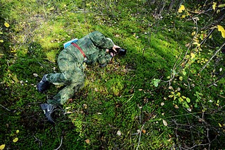 800 X 531 240.1 Kb Макровылазки и околомакрушные разговоры