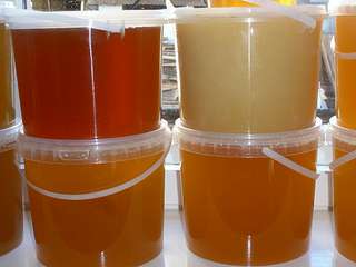 1136 X 852  54.4 Kb Продается гречишный мед.