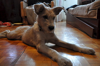 1920 X 1275 527.1 Kb 1920 X 1275 534.4 Kb     