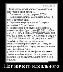 610 X 700  80.9 Kb WOOMENский Бардачок