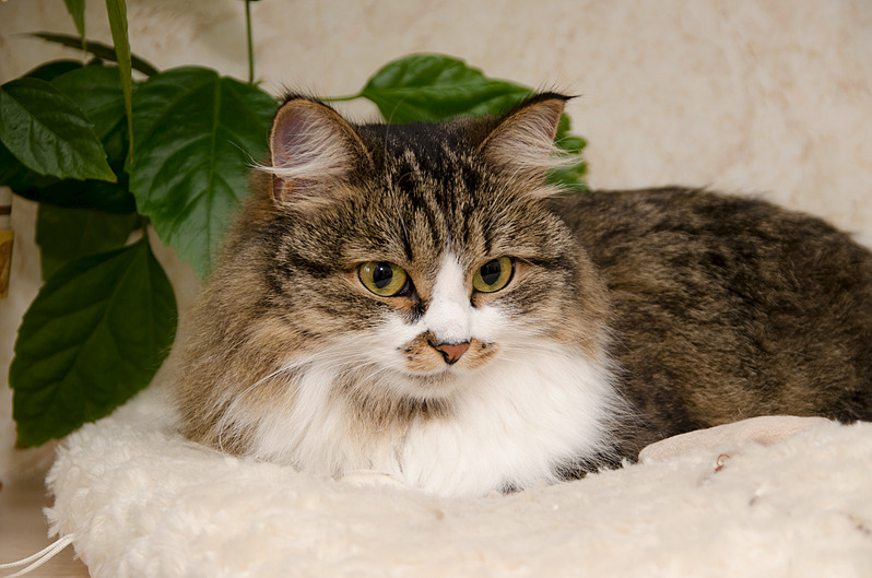 1920 X 1271 523.3 Kb 1920 X 1252 667.8 Kb ,        .