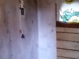 160 x 120 160 x 120 зу 6 сот. снт Пламя, дом, баня 430т.р.