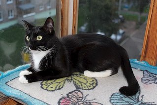 604 X 403  49.0 Kb 604 X 403  49.2 Kb     