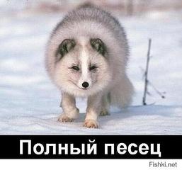 500 X 466  27.4 Kb  ?