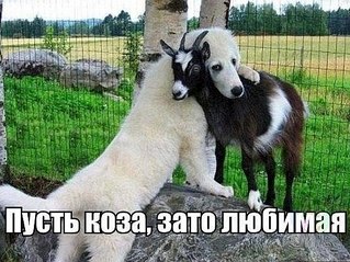 557 X 417  74.5 Kb Улыбнемся?