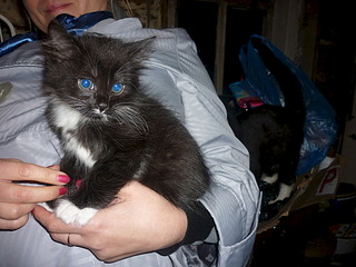 1920 X 1440 655.8 Kb 1920 X 1440 497.2 Kb  