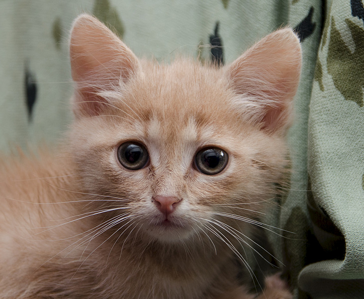 1920 X 1575 749.5 Kb  