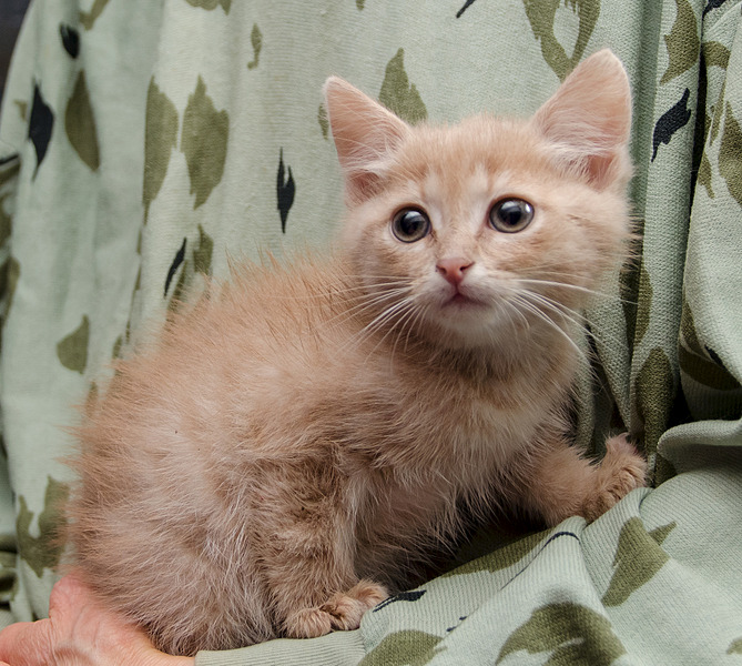 1920 X 1721 1011.9 Kb 1920 X 1575 749.5 Kb  