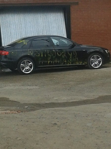 768 X 1024 100.3 Kb 1280 X 956 222.2 Kb 21.09.2014      -