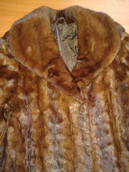 1920 X 2560 387.5 Kb 1920 X 2560 289.4 Kb   