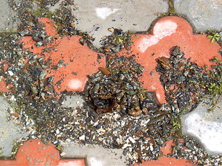 1920 X 1440 450.8 Kb 1920 X 1440 779.3 Kb    .    .