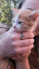 1836 X 3264 375.0 Kb  ''