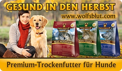 512 X 300 131.5 Kb 633 X 447 42.2 Kb 1415 X 484 674.1 Kb 1686 X 732 443.7 Kb   Wolfsblut, Meradog, Meracat. ()