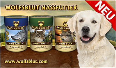 512 X 300 85.4 Kb 512 X 300 131.5 Kb 633 X 447 42.2 Kb 1415 X 484 674.1 Kb 1686 X 732 443.7 Kb   Wolfsblut, Meradog, Meracat. ()