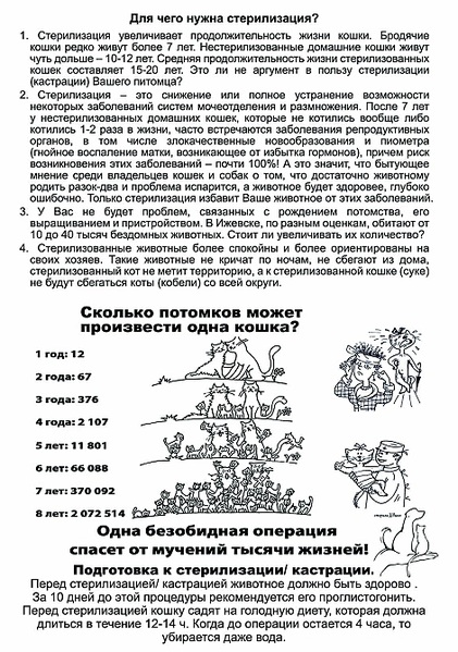 941 X 1339 537.0 Kb Котятки мальчик и девочка в дар