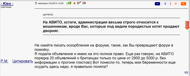 1873 X 755 103.9 Kb Котятки мальчик и девочка в дар