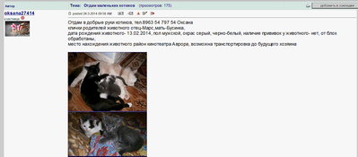 1823 X 799 434.8 Kb 1845 X 901 720.9 Kb Котятки мальчик и девочка в дар