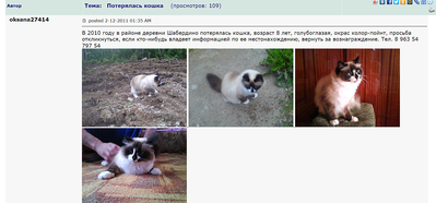 1665 X 777 845.8 Kb 1829 X 899 434.1 Kb 1823 X 799 434.8 Kb 1845 X 901 720.9 Kb Котятки мальчик и девочка в дар