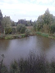 1536 X 2048 580.6 Kb 1920 X 1440 413.3 Kb 1920 X 1440 482.6 Kb    