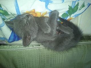 1920 X 1440 737.0 Kb 1920 X 1440 523.2 Kb ! -         