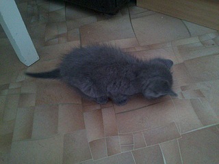 1920 X 1440 831.2 Kb 1920 X 1440 737.0 Kb 1920 X 1440 523.2 Kb ! -         