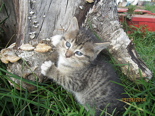 1920 X 1440 994.0 Kb 1920 X 1440 765.3 Kb     .